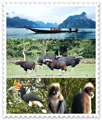 ทัวร์เขื่อนเชี่ยวหลาน